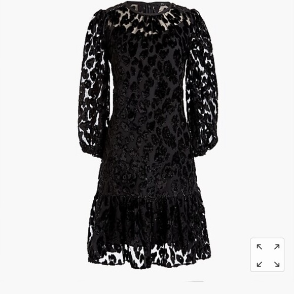 J. Crew Dresses & Skirts - J.Crew Velvet Leopard Dress